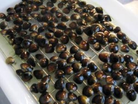 しじみの砂抜き 冷凍保存 レシピ 作り方 By しまげー 楽天レシピ しじみの砂抜き 冷凍保存 レシピ 作り方 By しまげー 楽天レシピ